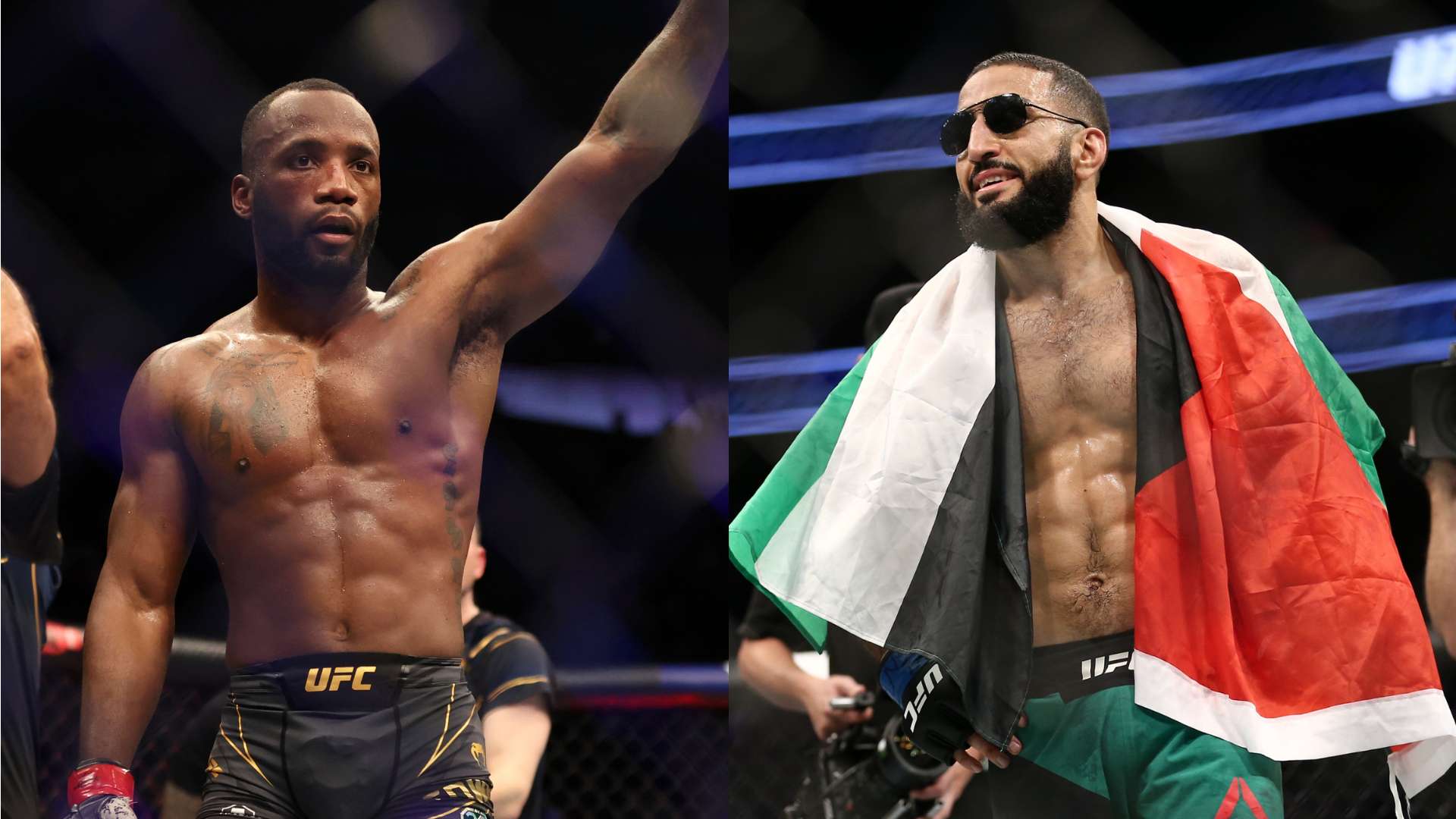 拔的拼搏精 拔的拼搏精