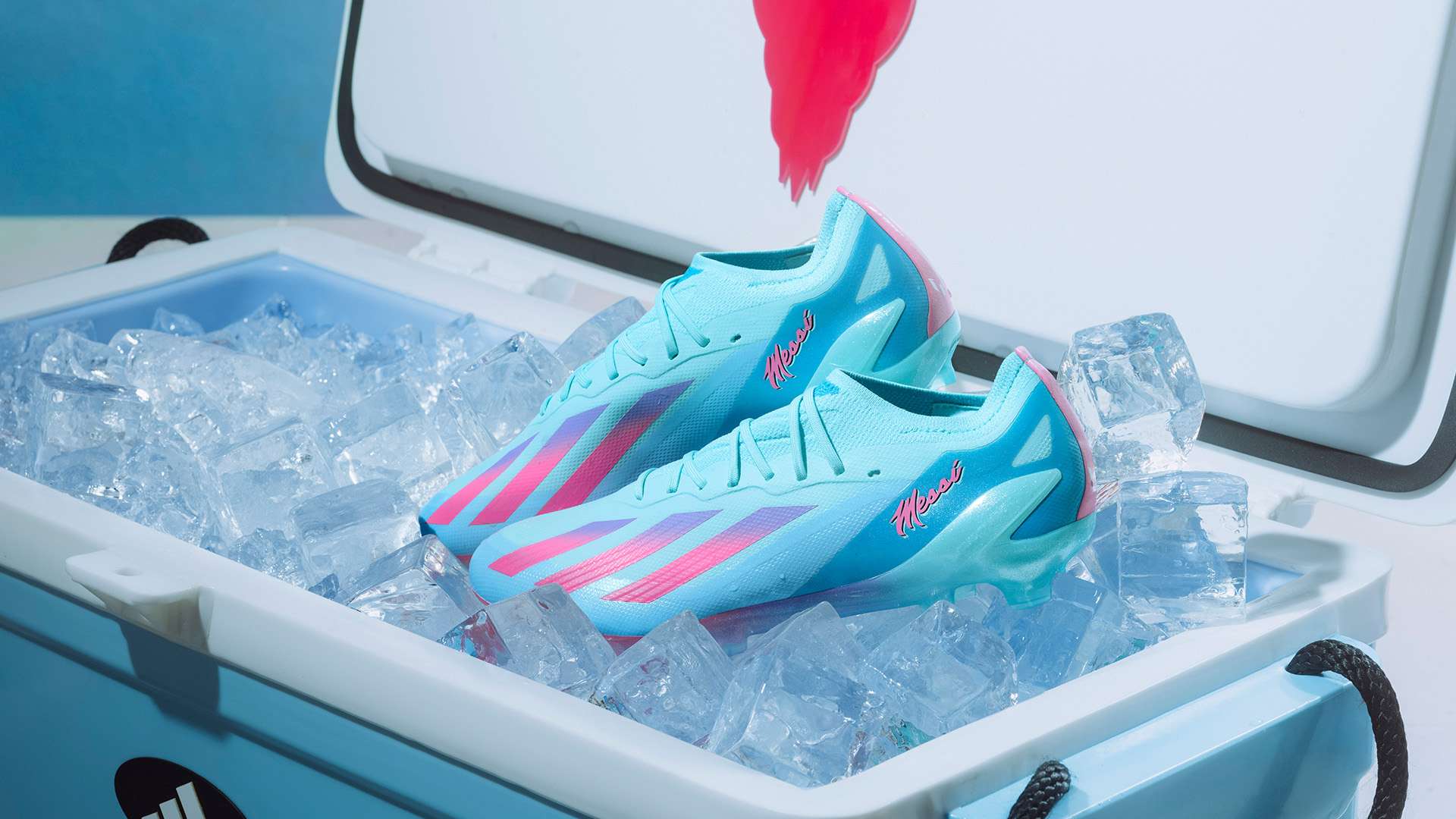 洋认识到足 洋认识到足