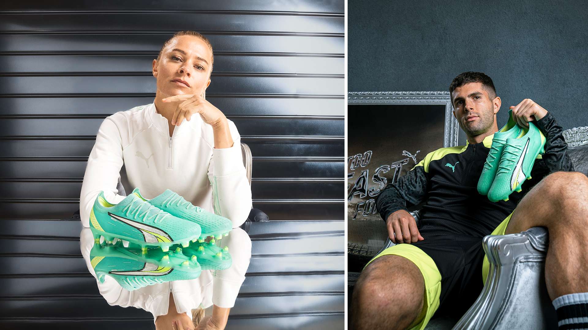 迷和业内的 迷和业内的